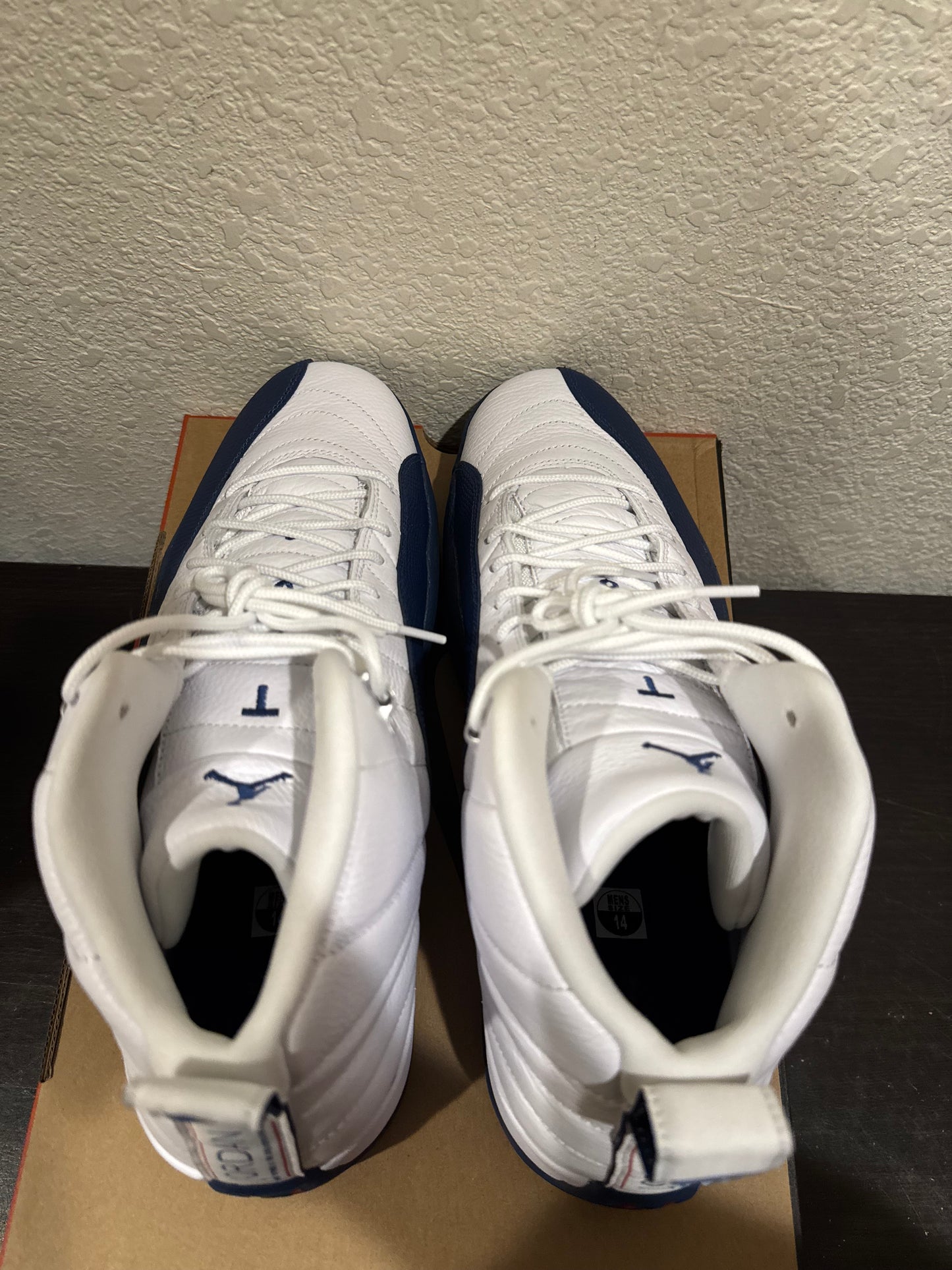 Jordan 12 French Blue Men's Brand New CT8013-114