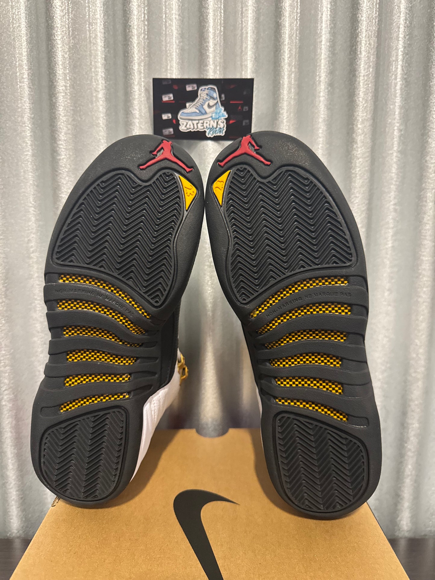 Jordan 12 Taxi GS Brand New CT8013-117