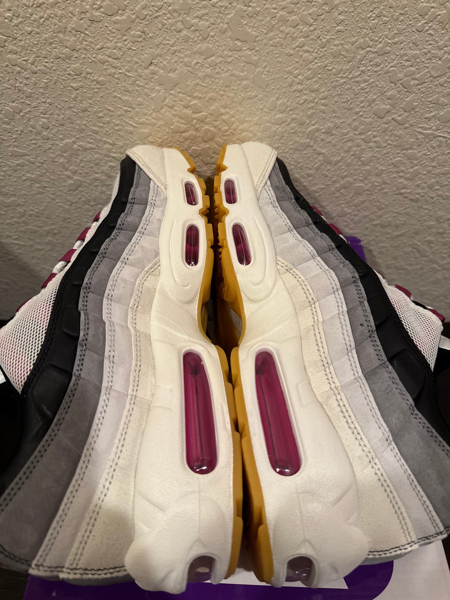 Nike Air Max 95 SB Cactus Flower Men's Brand New HF7545-100