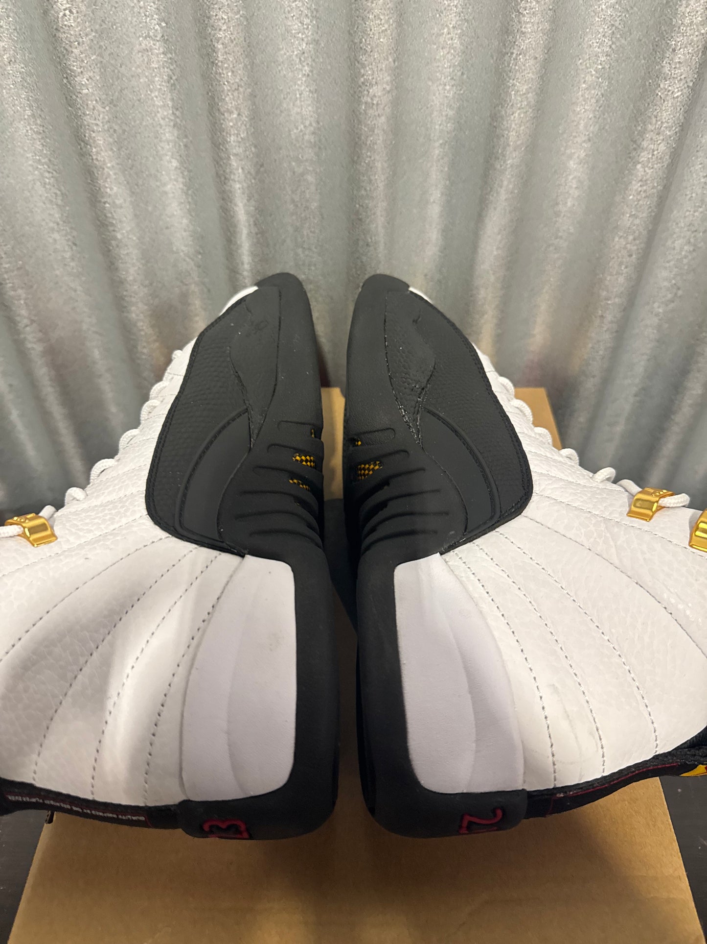 Jordan 12 Taxi GS Brand New CT8013-117