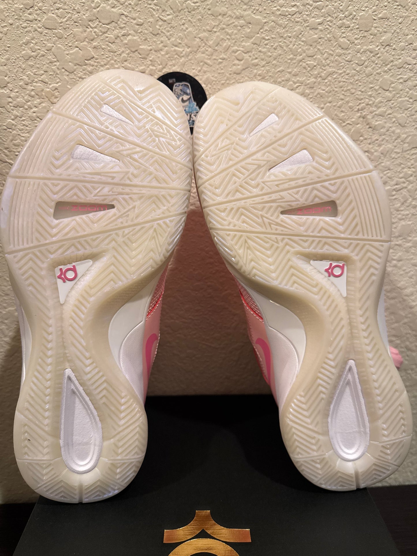 Nike Zoom KD 3 Aunt Pearl Men's Brand New FJ0982-600
